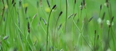 cao国产,历史、文化与现代发展的交融画卷